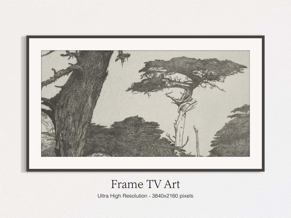 Windswept Cypress Trees Monochrome Engraving Vintage Nature Art Print - Image 4