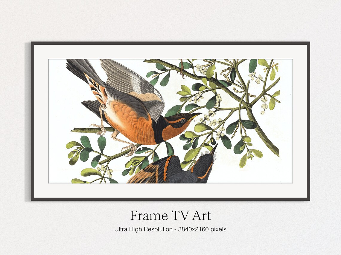 Spring Bird Illustration, Seasonal Wall Art Print - Image 5