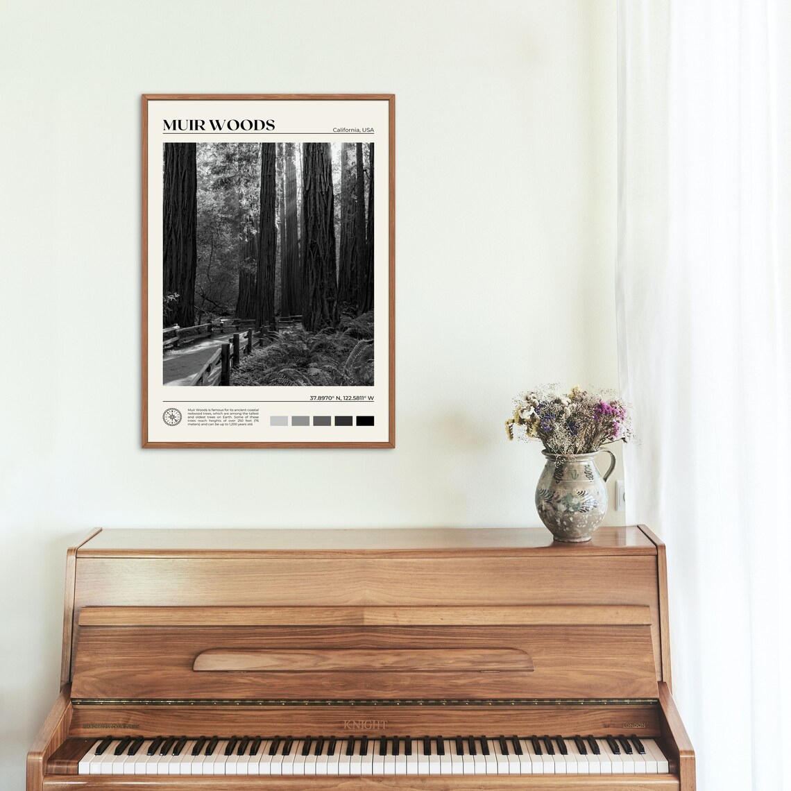 Muir Woods National Monument, California Art Print - Image 2