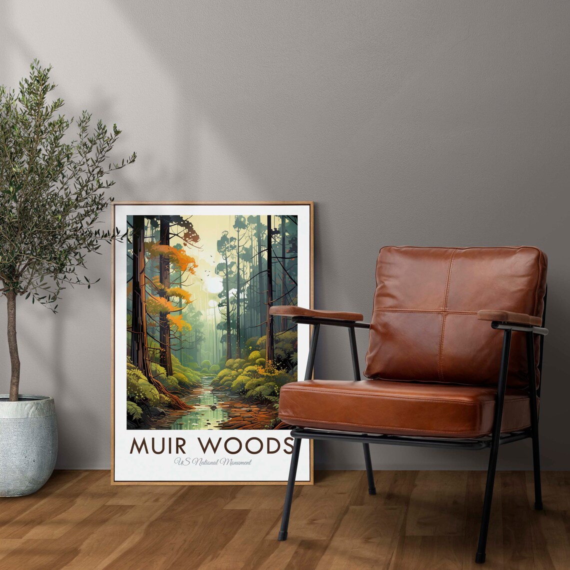 Muir Woods National Monument California Redwood Forest Poster