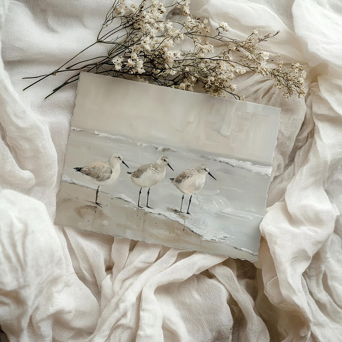 Sandpiper Birds Art Print, Coastal Beach House Decor - Image 5