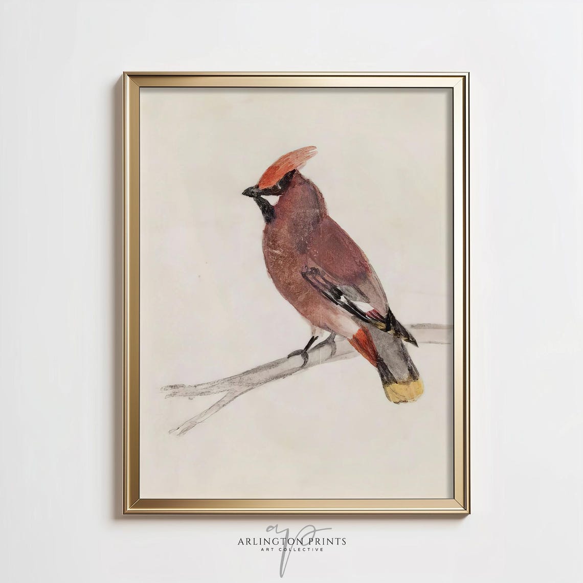 Red Crested Songbird on Bare Branch Neutral Watercolor Art Poster