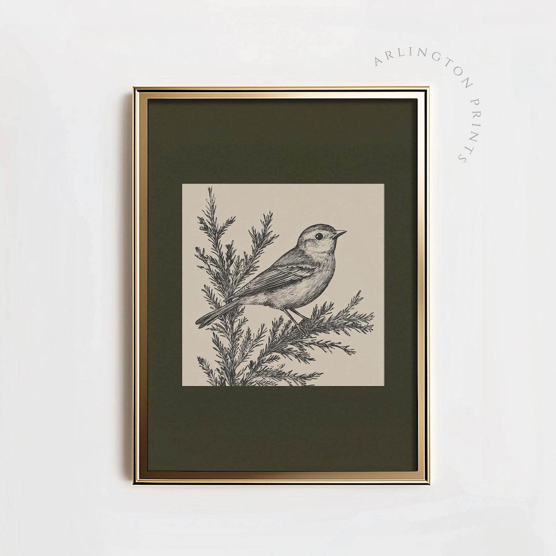 Vintage Songbird Engraving On Dark Olive Green Botanical Poster