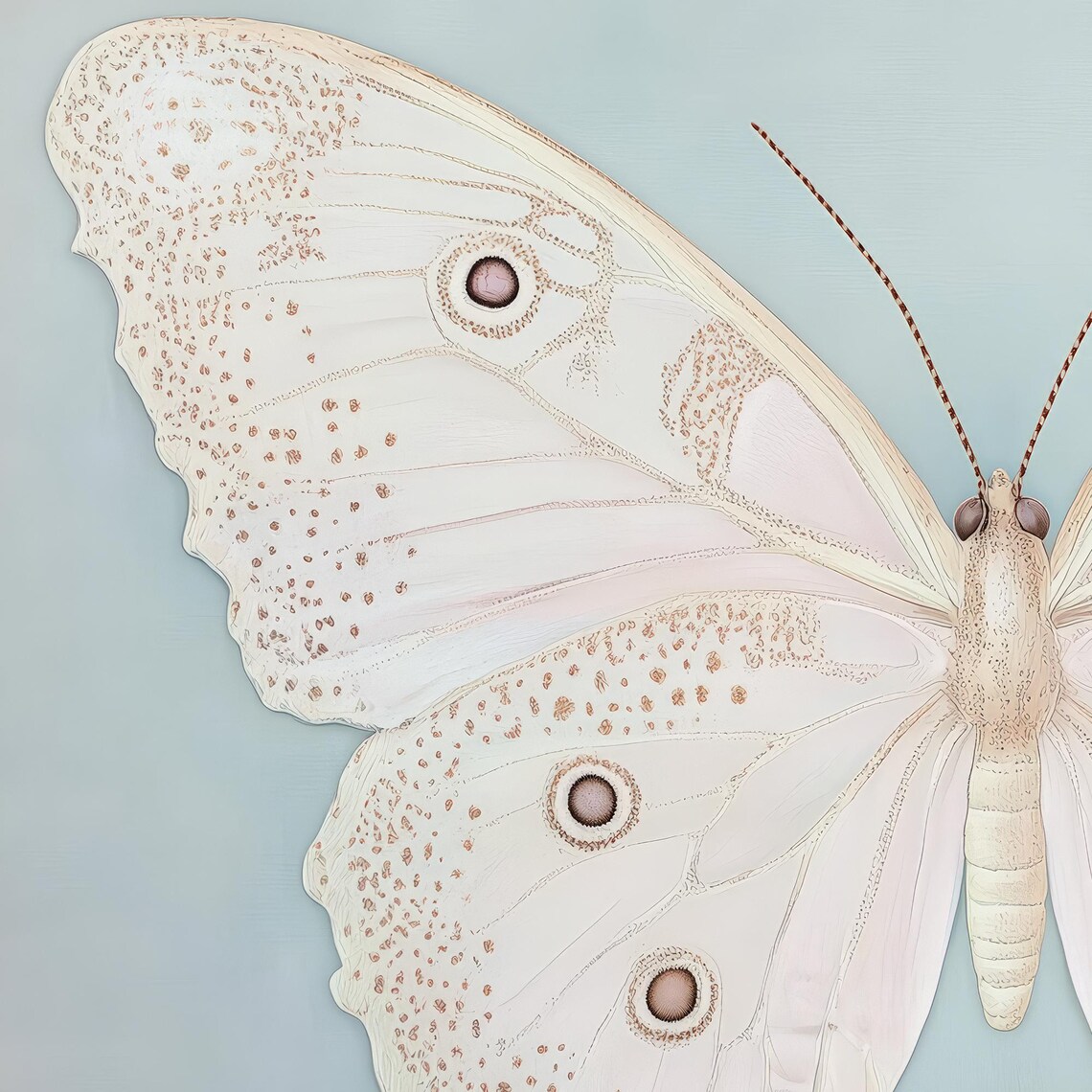 White Butterfly Specimen On Pale Blue Vintage Insect Art Poster - Image 4