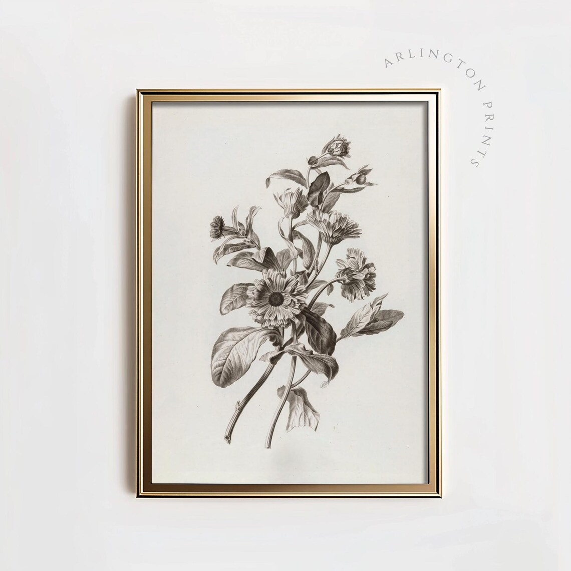 Botanical Sketch, Black And White Flowers Art