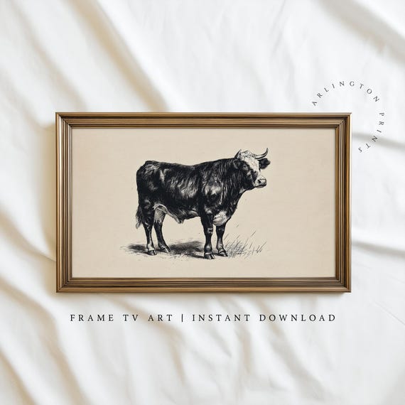 Samsung Frame Tv Art Vintage Cow Illustration Neutral Farm Animal Sketch Rustic Minimalist Country Wall
