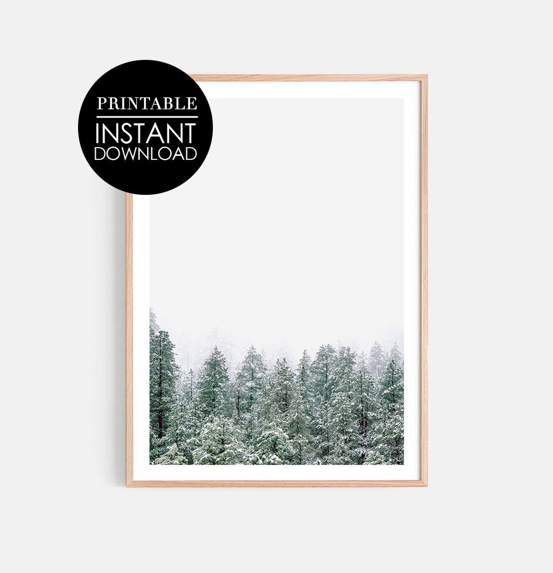 Snowy Evergreen Forest Winter Trees Foggy Photography Poster