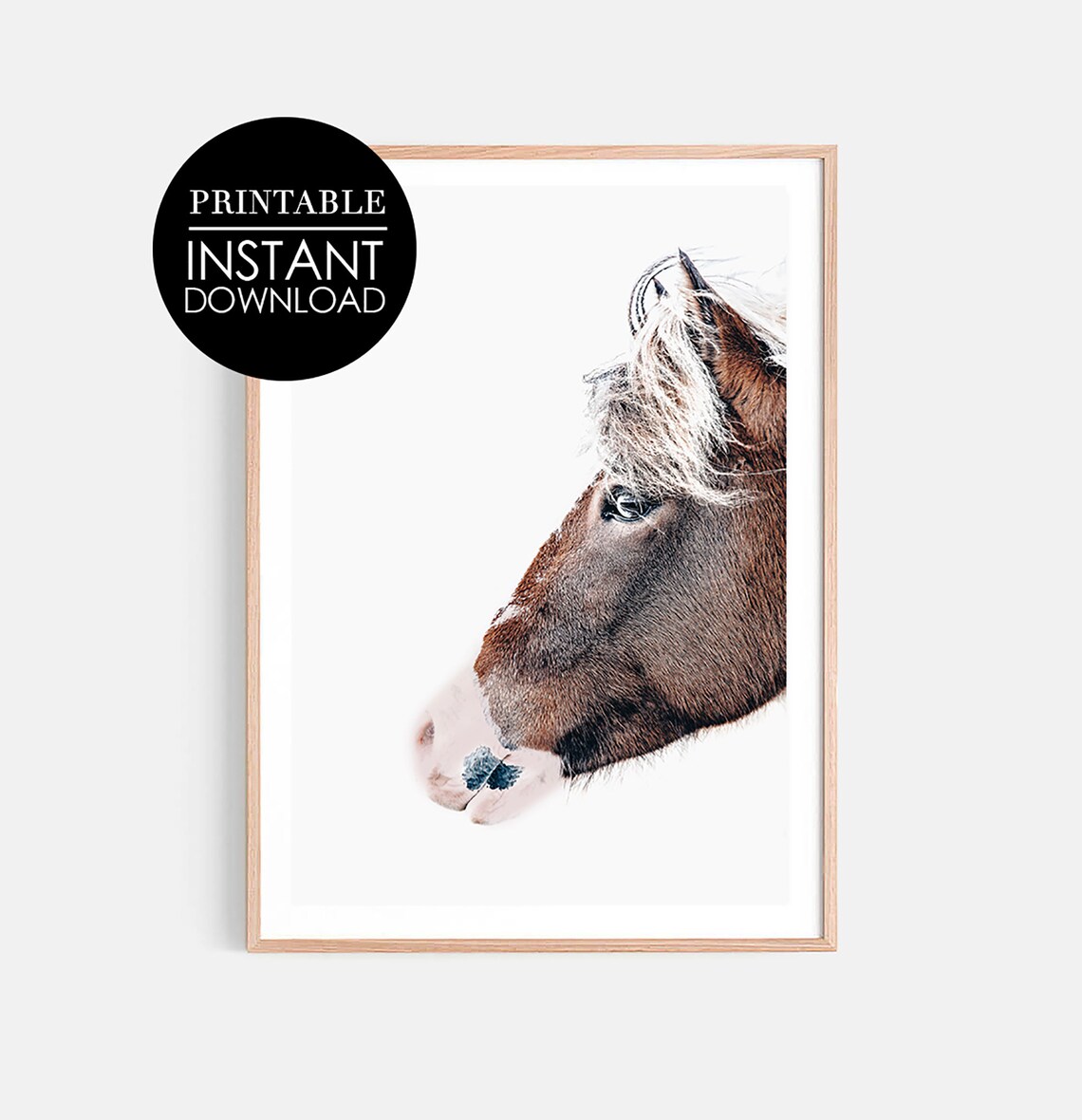 Brown Horse Profile Portrait Minimalist Animal Photography Wall Art