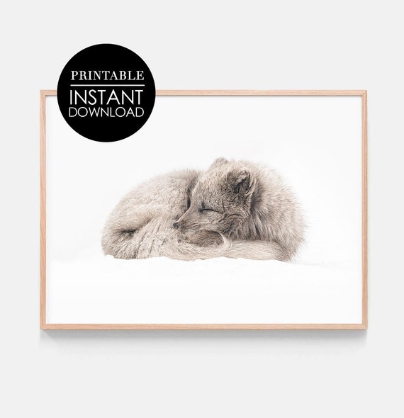 Sleeping Fox Print Wall Art Decor Holiday Nursery