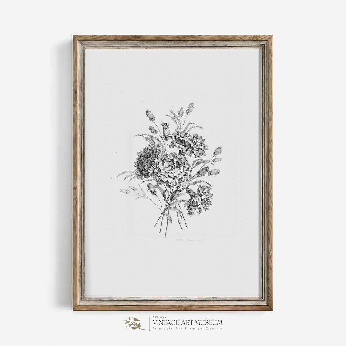 Black White Botanical Carnation Sketch Vintage Engraving Floral Poster