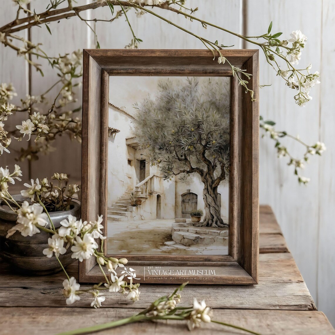 Vintage Olive Tree in Greece, Farmhouse Kitchen Art Print - Image 3