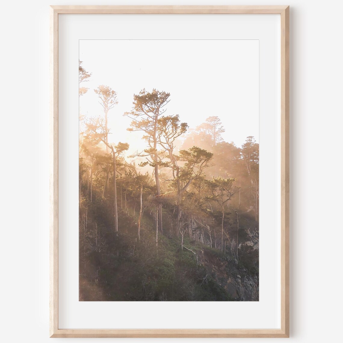 Monterey Bay Coastal Trees Art Print, Point Lobos