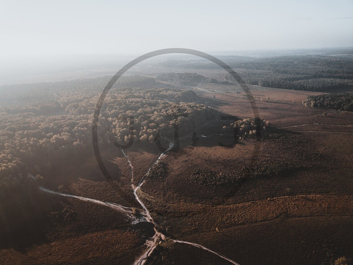 New Forest Hampshire Aerial Moorland Woodland Trails View Poster - Image 3