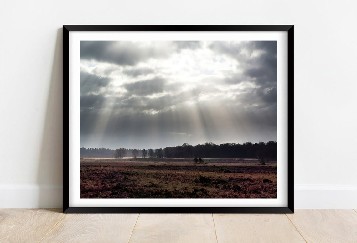 New Forest Hampshire Light Rays Through Clouds Dramatic Sky Poster
