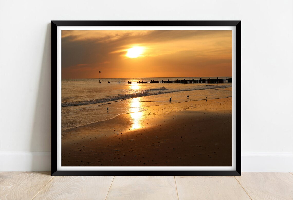 Golden Sunrise Over Calm Beach Wooden Groynes and Birds Poster