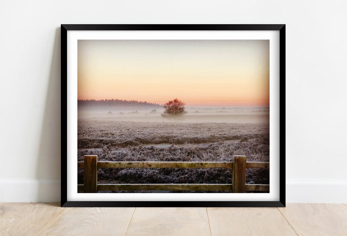 New Forest Hampshire Winter Frost Misty Heathland Morning Poster