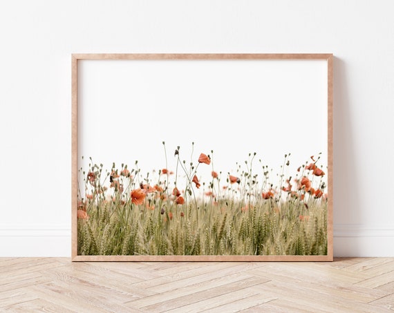 Poppies Field Art Print, Wildflower Wall Art