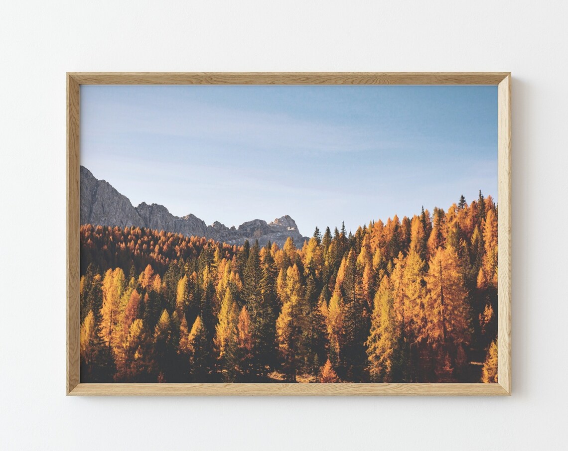 Autumn Forest Golden Larch Trees Mountain Landscape Photo Poster