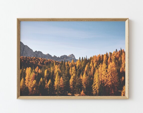 Autumn Forest Golden Larch Trees Mountain Landscape Photo Poster