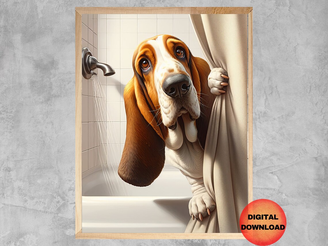 Basset Hound Peeking From Shower Curtain Funny Bath Time Print
