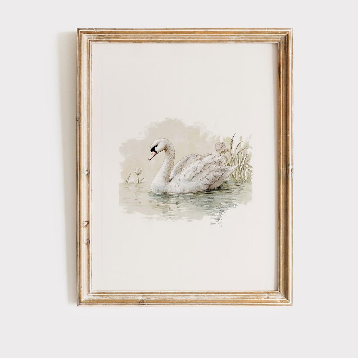 Physical Print Swan Decor Nursery Vintage Wall Art Artful Prints