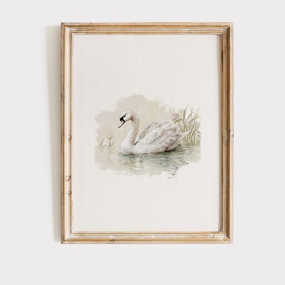 Physical Print Swan Decor Nursery Vintage Wall Art Artful Prints