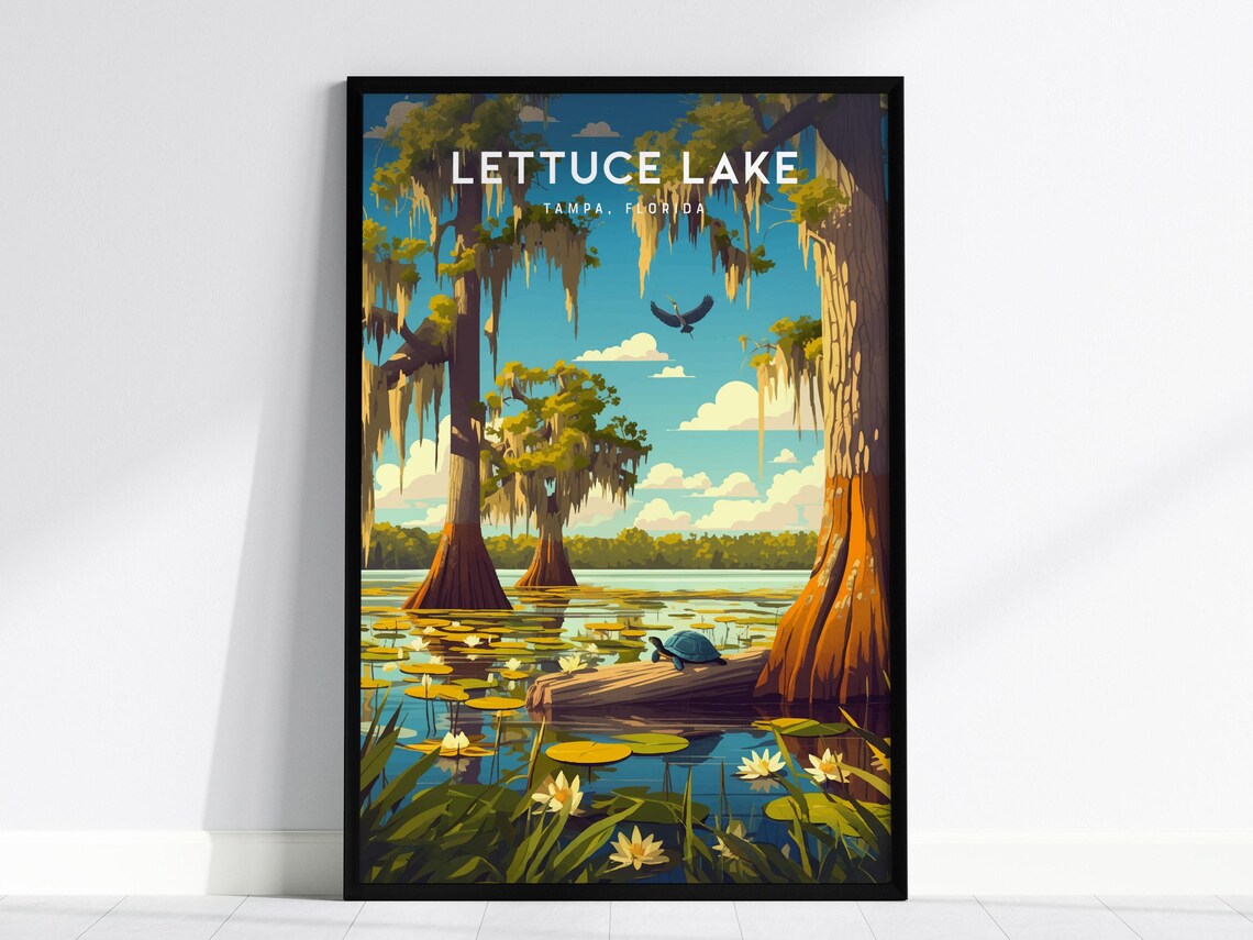 Lettuce Lake Tampa Florida Cypress Swamp Turtle Nature Poster