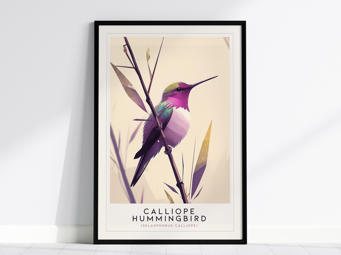 Calliope Hummingbird Colorful Bird Art Print