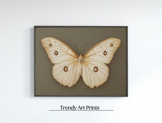 Vintage White Butterfly Print Dark Moody Insect Wall Art Cottagecore Saige Green Decor Antique Moth Painting