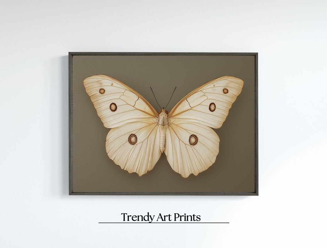 Vintage White Butterfly Specimen Dark Moody Insect Art Print