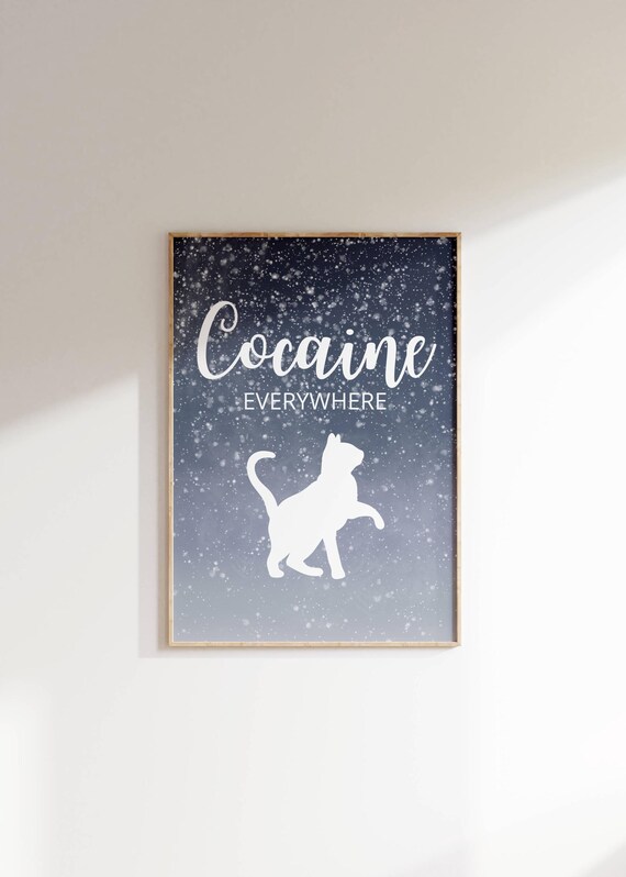 Cocaine Everywhere Funny Cat Snow Meme Dark Humor Quote Poster