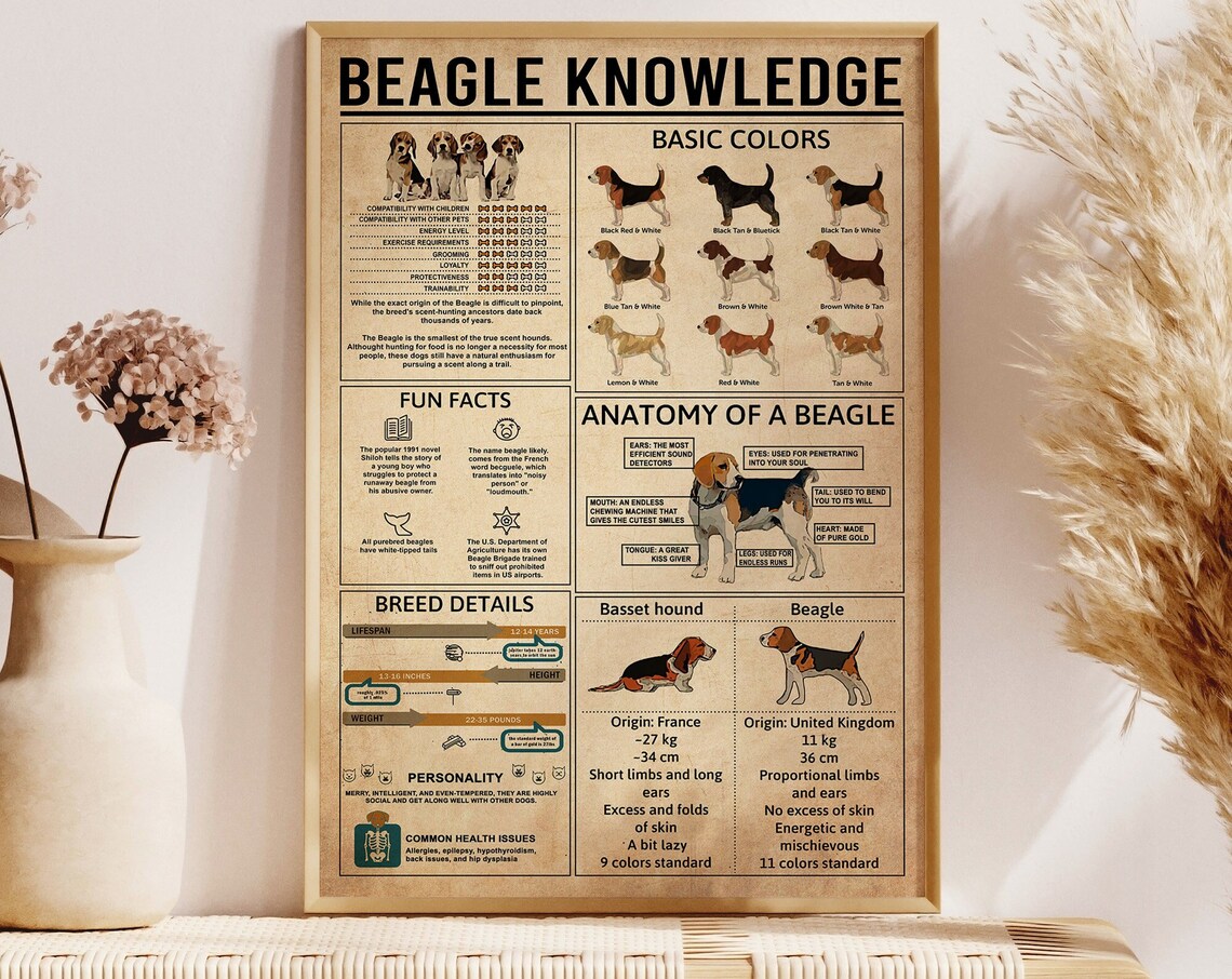 Beagle Knowledge Poster, Dog Lover Art Print