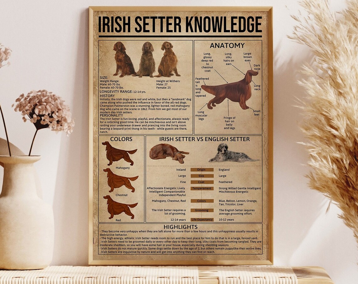 Irish Setter Vintage Poster, Dog Wall Art Print