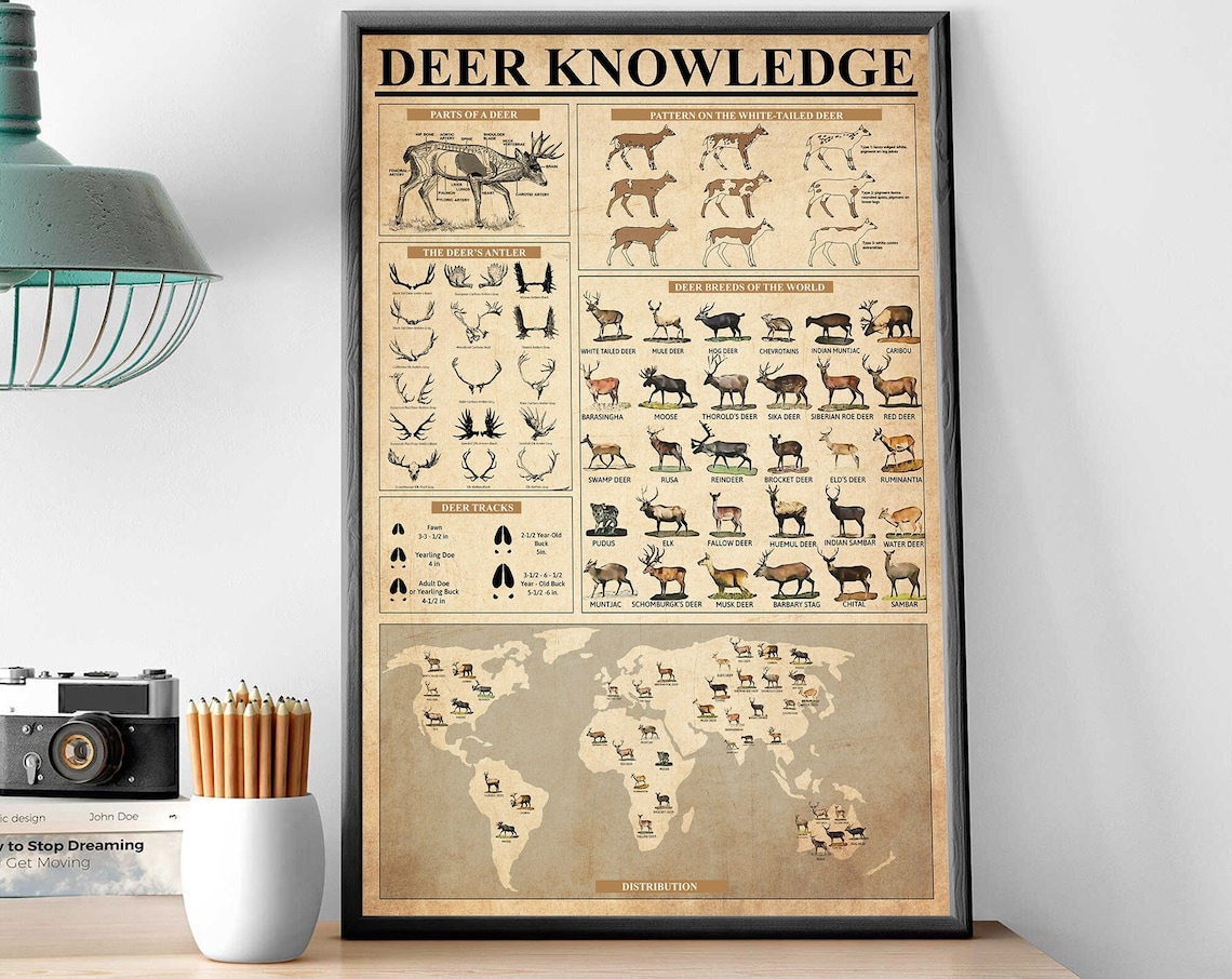 Vintage Deer Knowledge Art Print, Reindeer Poster