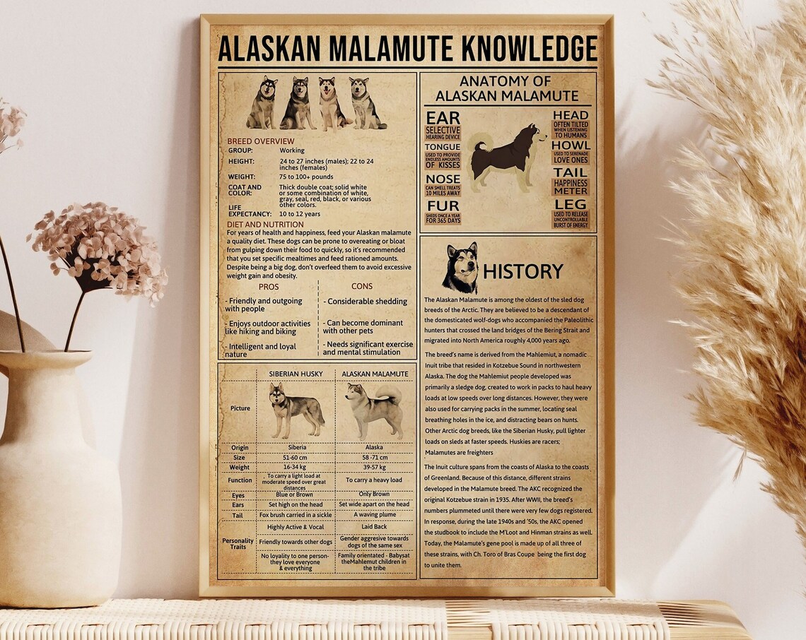 Alaskan Malamute Knowledge Poster, Dog Art Print
