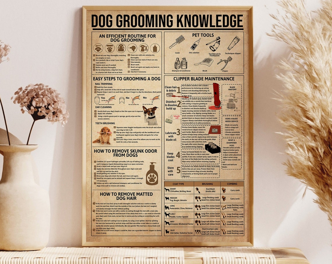 Dog Grooming Knowledge Routine Nail Ear Teeth Care Guide Poster