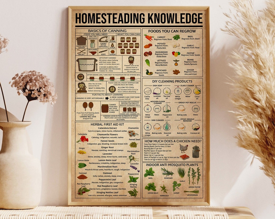 Homesteading Knowledge Canning Regrow Foods Herbal First Aid Poster