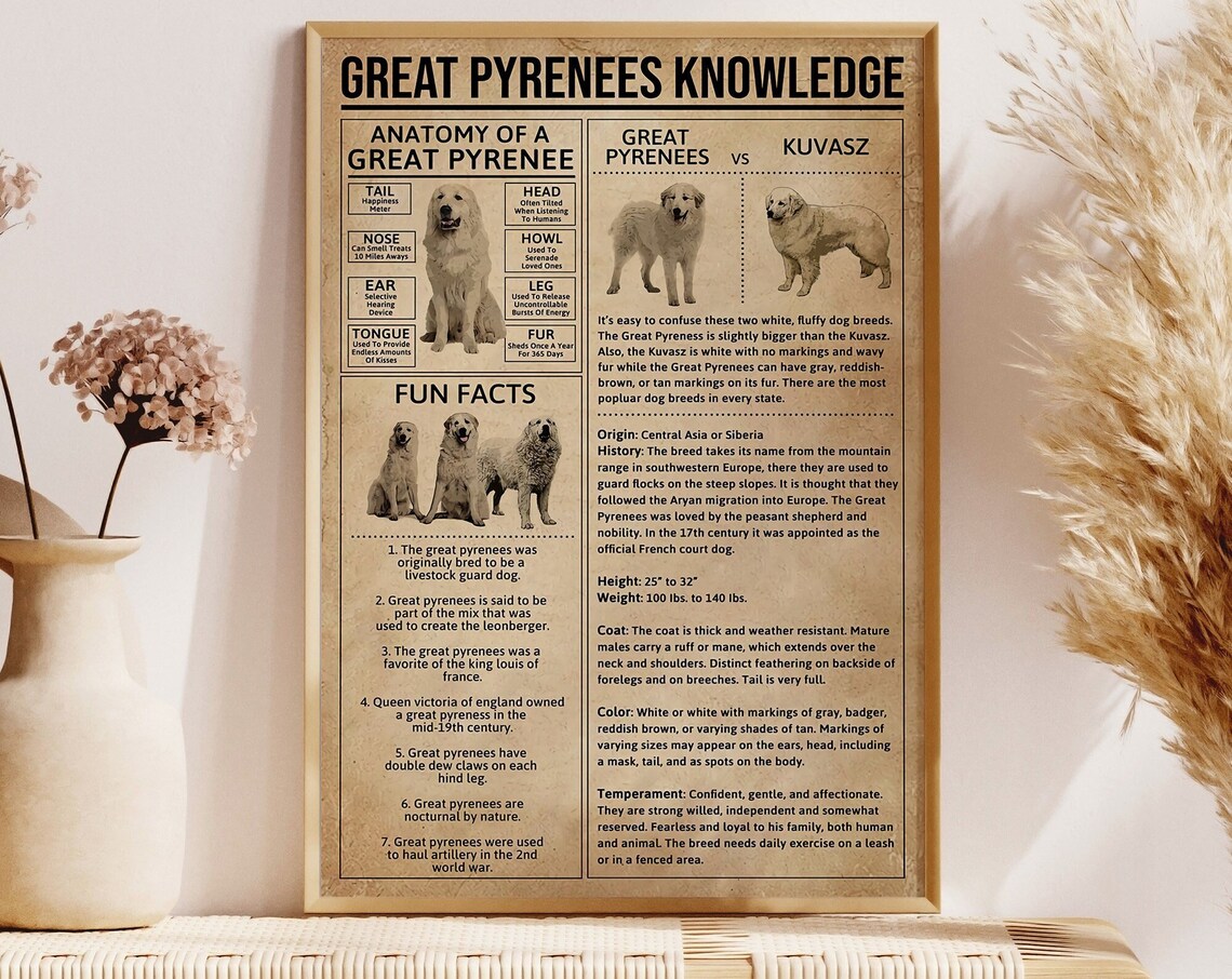 Great Pyrenees Anatomy Vintage Dog Art Print