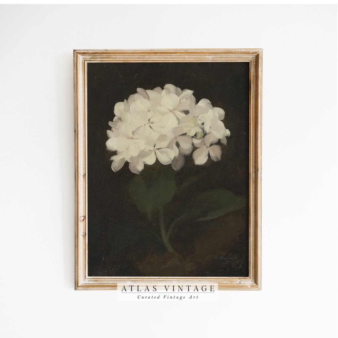 Moody White Hydrangea Bloom on Black Botanical Painting Poster - Image 8