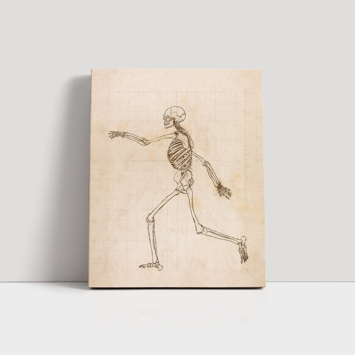 Walking Human Skeleton Anatomy Line Sketch Gothic Halloween Dark Poster - Image 3