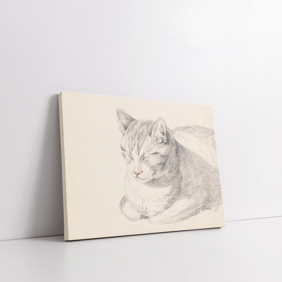 Sleeping Grey Tabby Cat Vintage Pencil Sketch Portrait Art Poster - Image 5