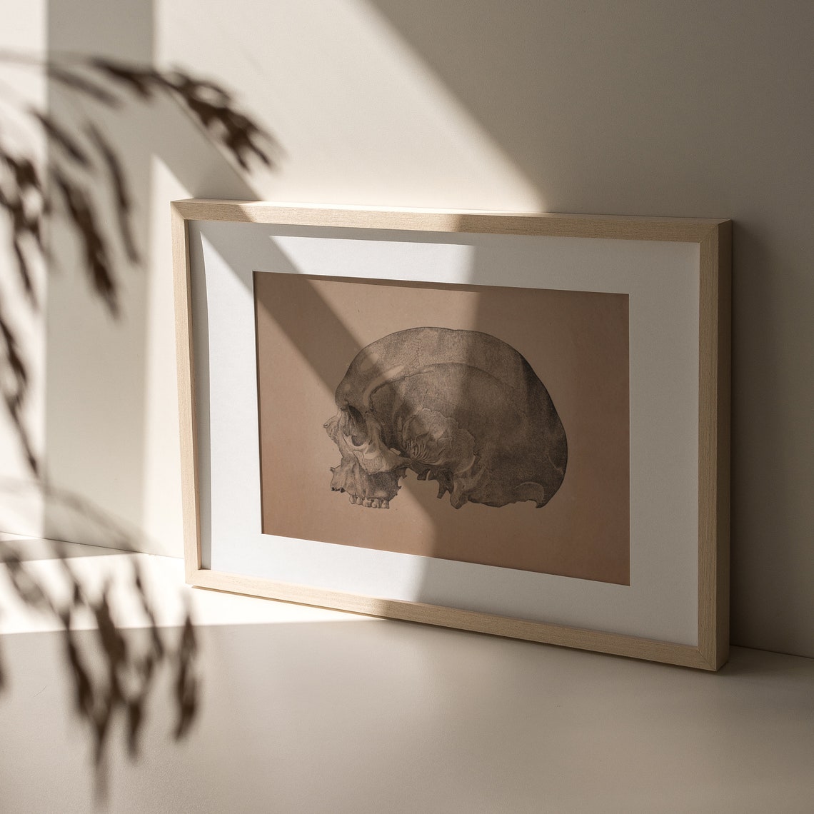 Vintage Skull Anatomy Sketch Sepia Medical Illustration Poster - Image 3