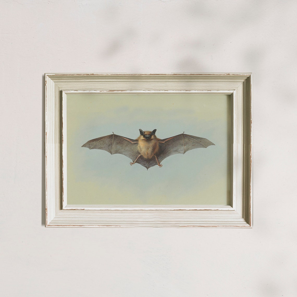 Vintage Brown Bat With Spread Wings Dark Academia Nature Poster - Image 7