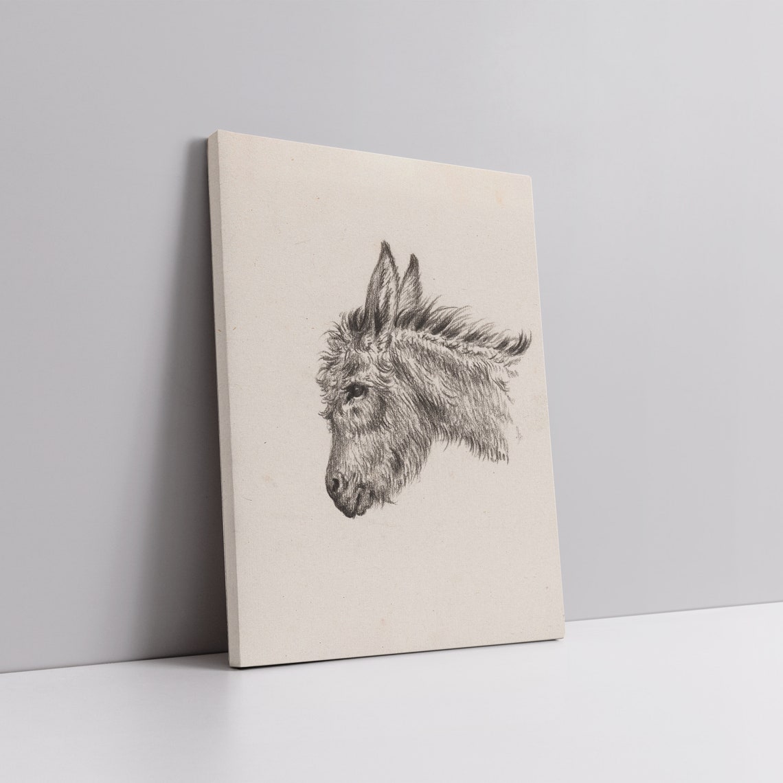 Antique Pencil Sketch Of Donkey Head Minimalist Animal Study Poster - Image 5