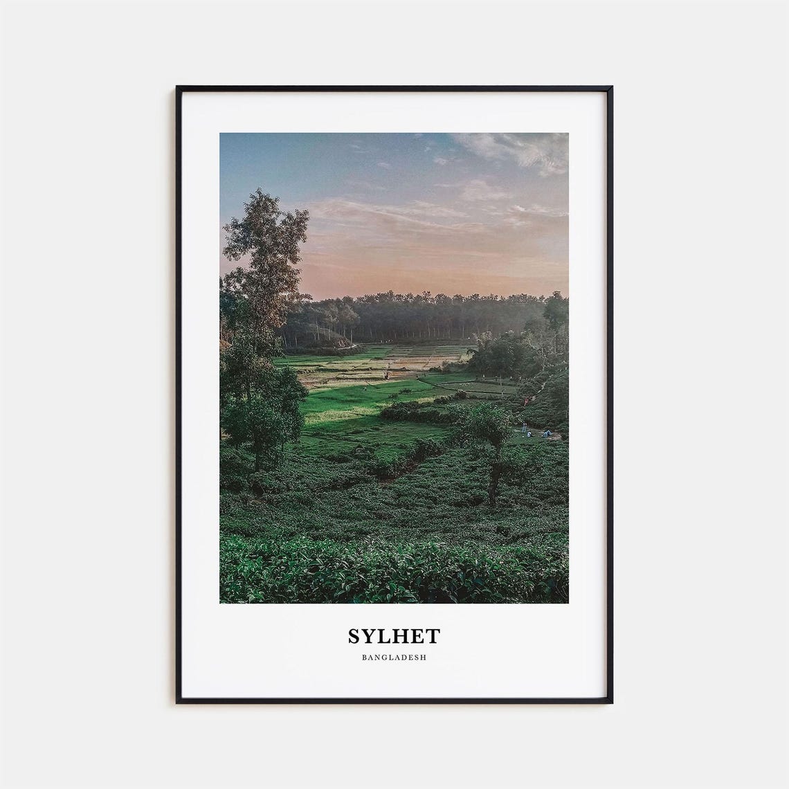 Sylhet Bangladesh Green Tea Gardens Sunset Landscape Photo Poster