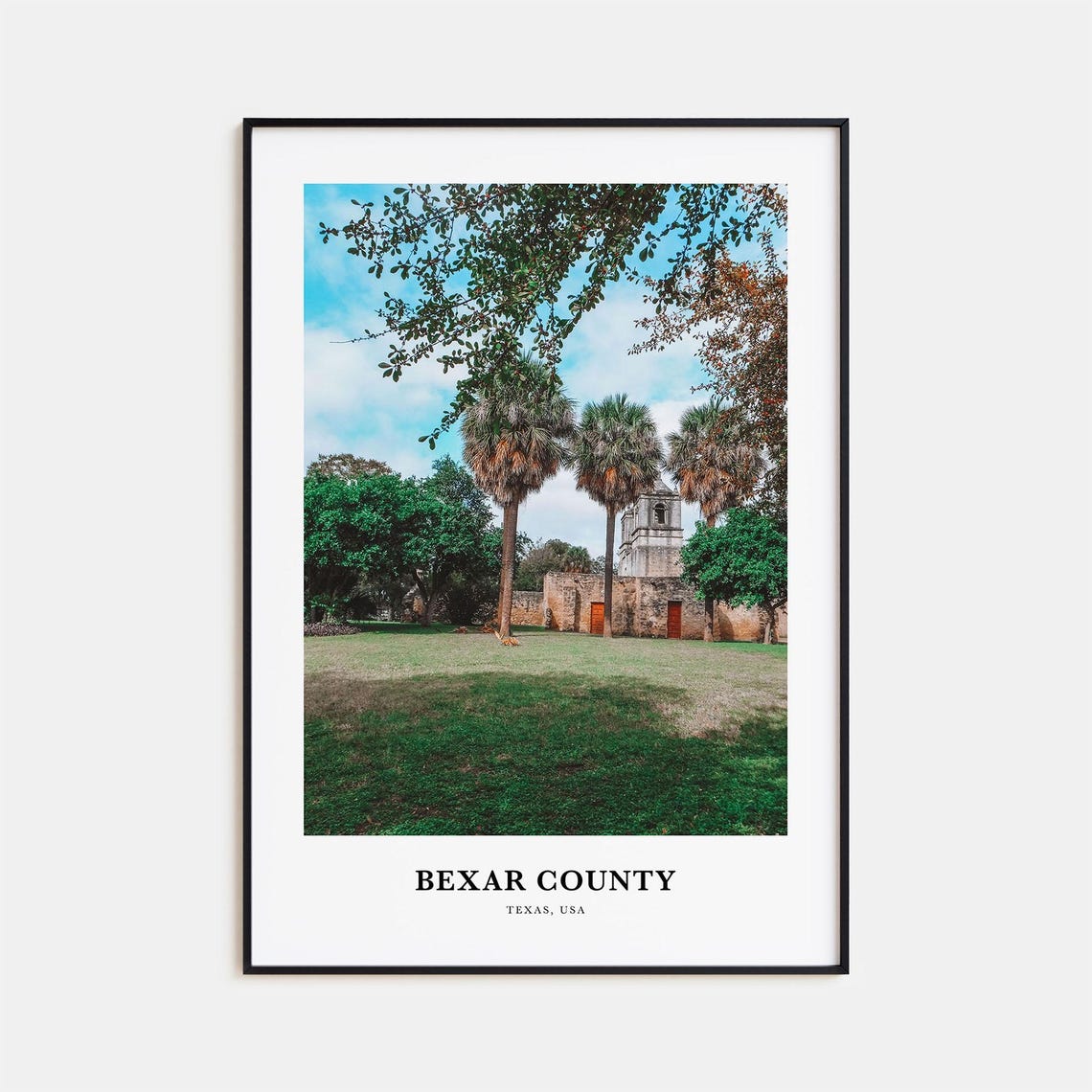 Bexar County Texas Mission Palm Trees Historic Travel Poster