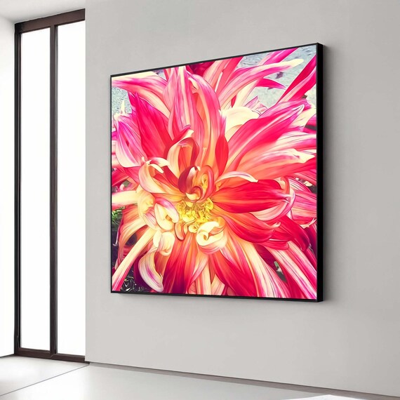 Red And Yellow Dahlia Flower Macro Vibrant Botanical Photography Poster