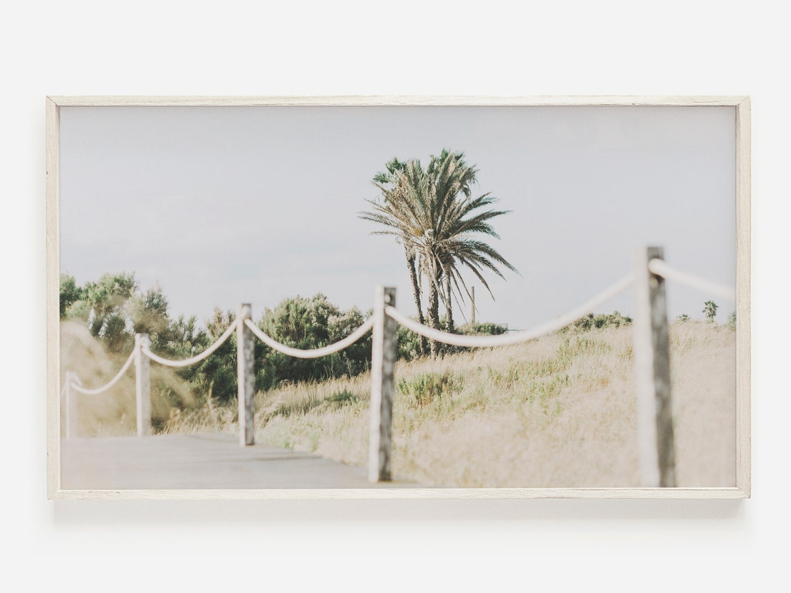 Beach Boardwalk Path With Palm Tree Neutral Coastal Photo Poster
