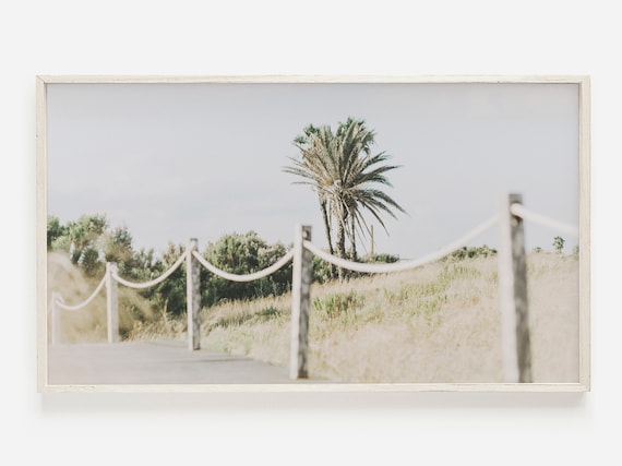 Beach Boardwalk Path With Palm Tree Neutral Coastal Photo Poster