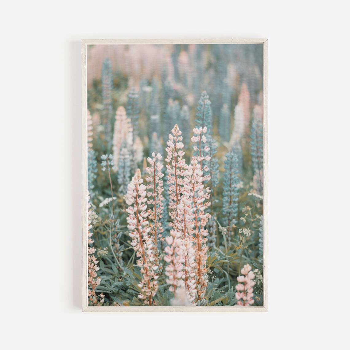 Lupine Flowers in Washington, PNW Floral Art Print